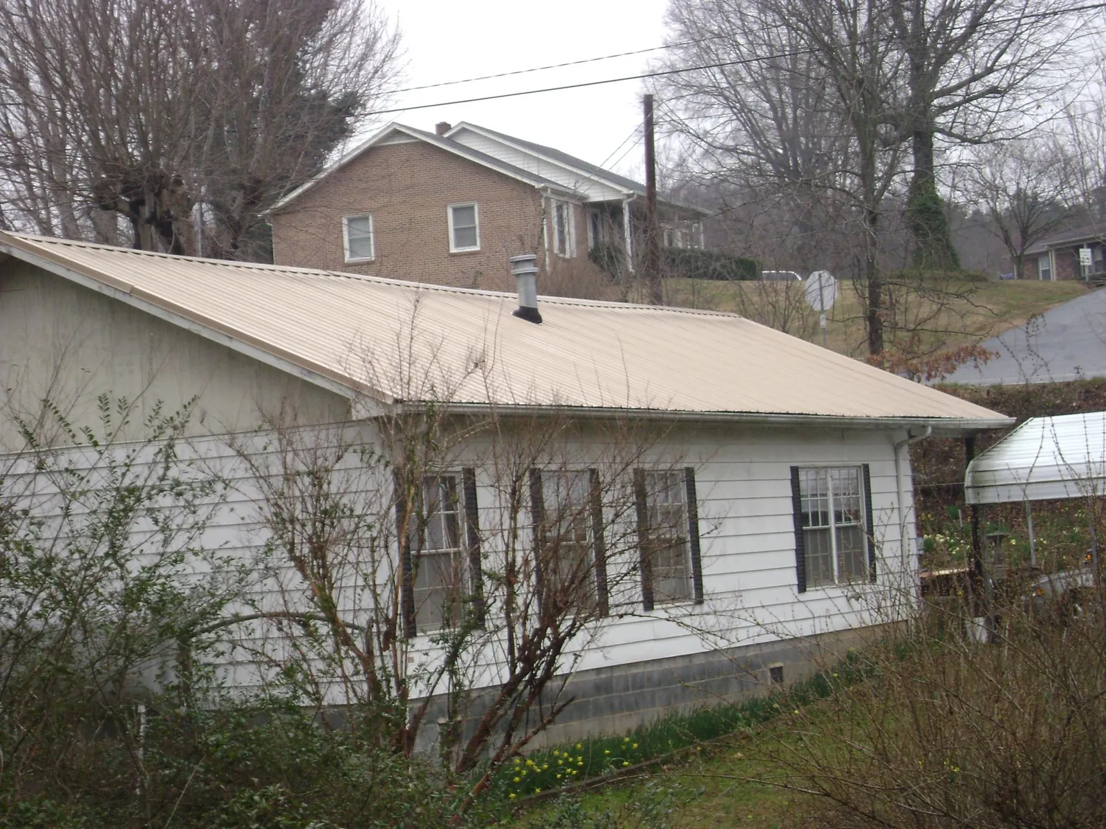 Tan metal roof on a white sided house set into a hillside in Devine